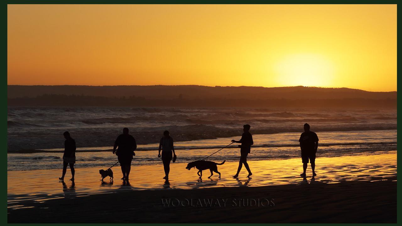 Goolwa North Gumnut Getaway Bnb מראה חיצוני תמונה
